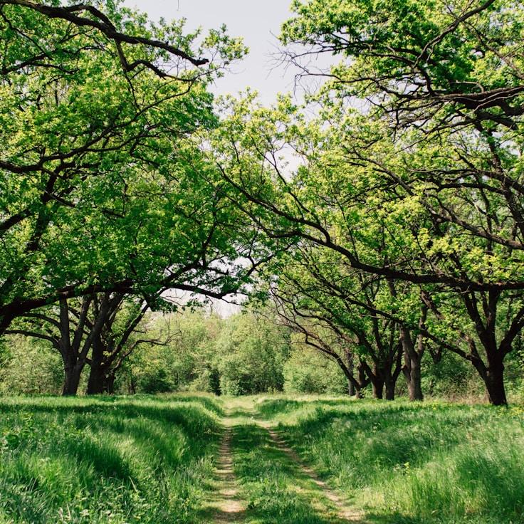 Protected areas overview